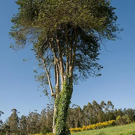 Casa Do Ghabino Landsted Santa Comba